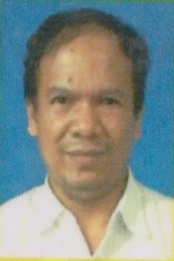 Prof. Dr. rer-nat Wira Bahari Nurdin